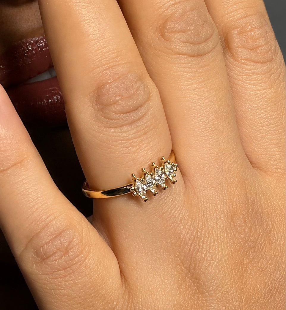 Bague de Promesse illustre